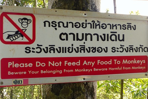 Do not feed the monkeys sign at Krabi Tiger Cave Temple, Thailand