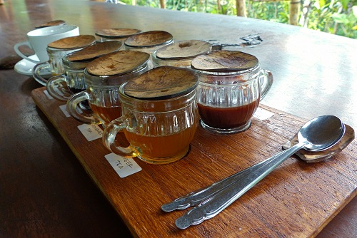 Cups of Balinese tea and coffee with coconut caps in Bali, Indonesia