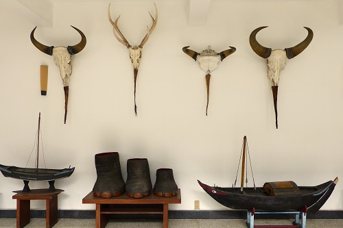 Animal Trophies at Reunification Palace, Ho Chi Minh City, Vietnam