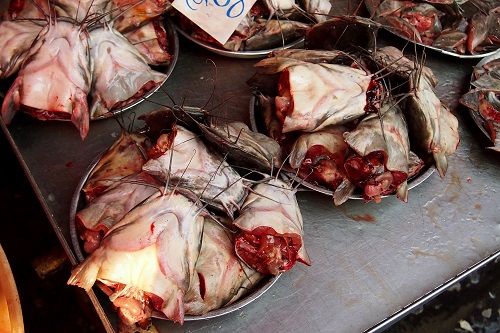 Severed catfish heads on plates at Khlong Toei Market in Bangkok, Thailand