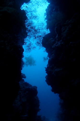 An underwater cave at Menjangan Island in Bali, Indonesia