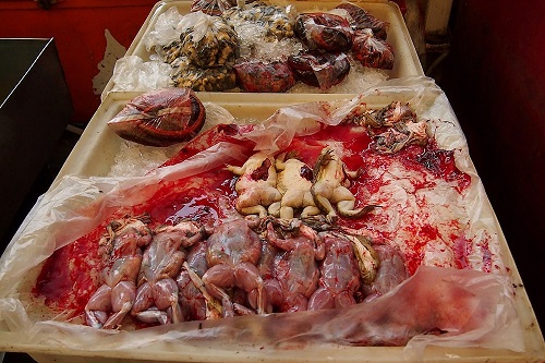 Tray of flayed frogs and their skins at Khlong Toei Market in Bangkok, Thailand