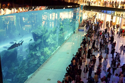 Crowds watching giant shark tank at Dubai Mall Aquarium in the UAE