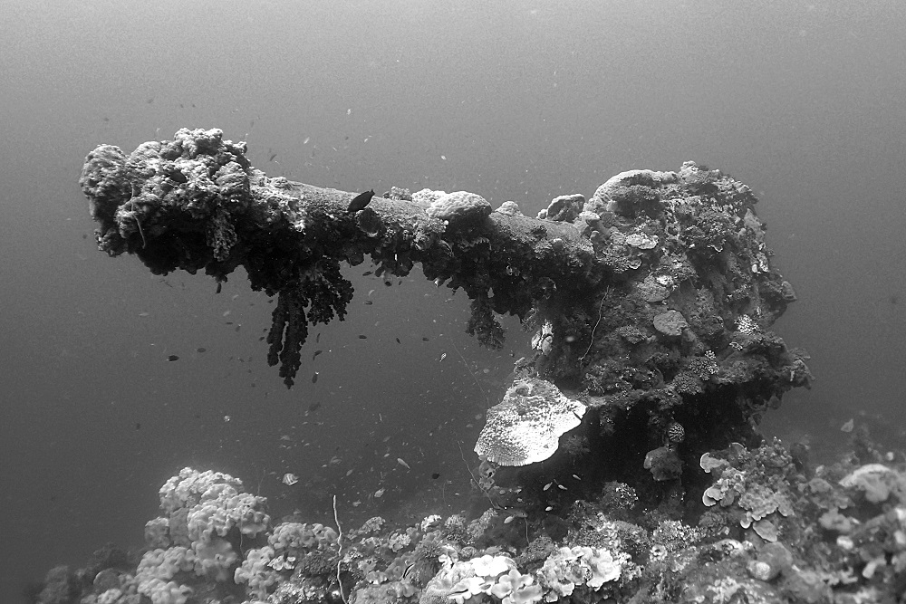 Travel Photos: Fujikawa Maru - Chuuk Lagoon's Most Iconic Wreck