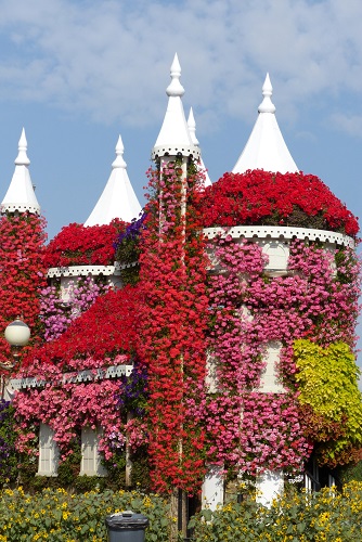 Flower castle at Dubai Miracle Garden, UAE