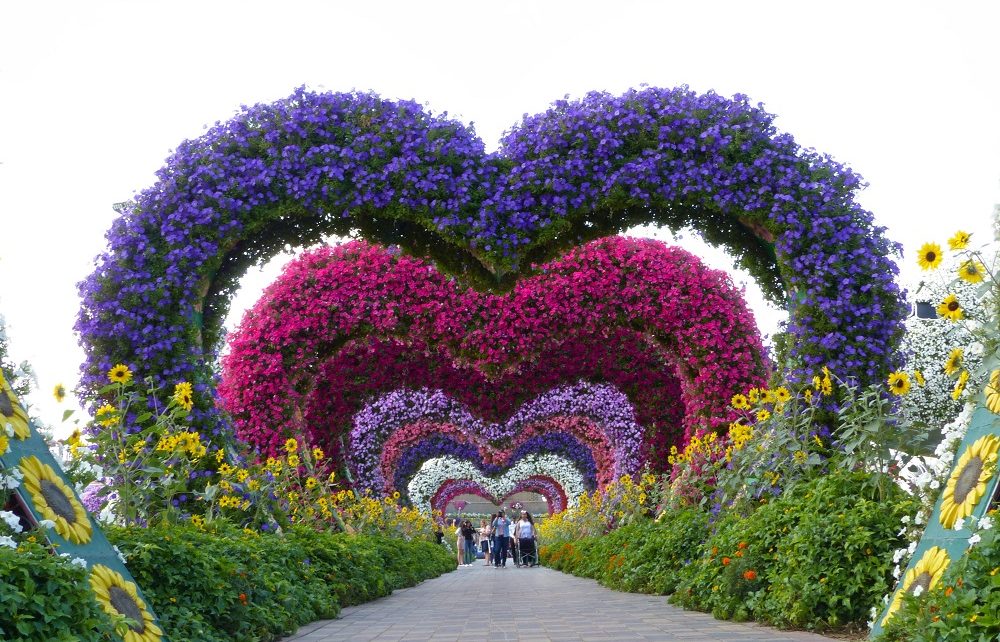 Flowers forming a tunnel of hearts at Dubai Miracle Garden in UAE