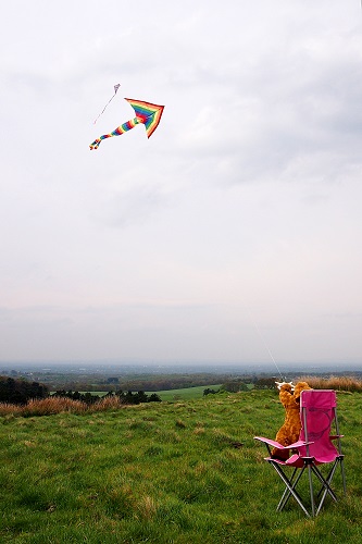 Teddy bear flying a kite at Lyme Park, Peak District