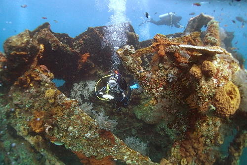 Maddy diving on the Liberty wreck in Tulamben, Bali