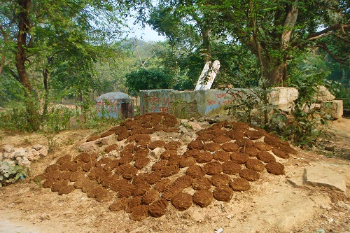 Dung pancakes drying in sun in Agra, India