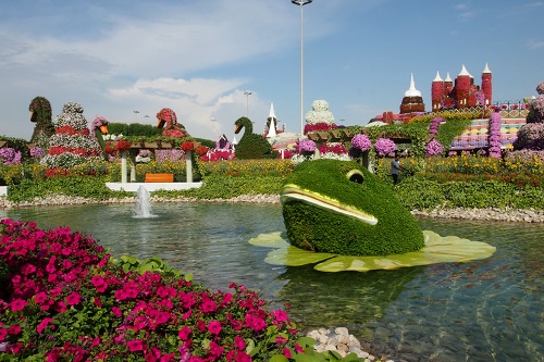 Pond with flower frog at Dubai Miracle Garden, UAE