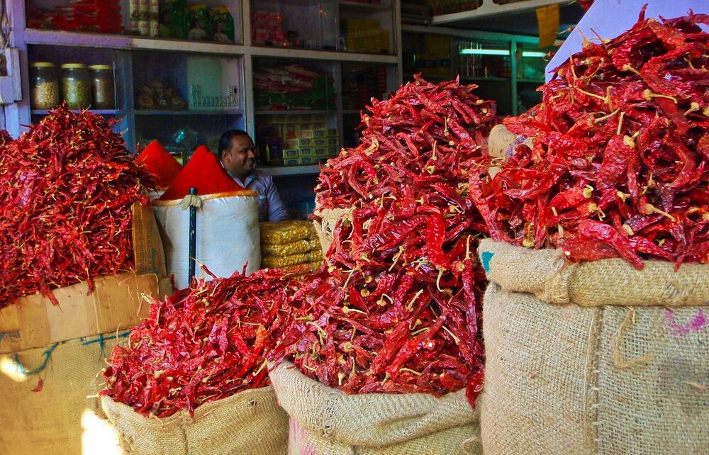Sacks of chilli peppers in the Pink City, Jaipur, India