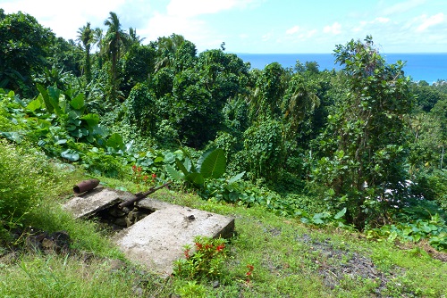 Gun and bunker on hillside in Chuuk, Micronesia