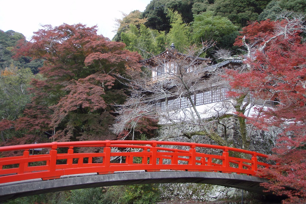 Autumn leaves and a red bridge in Minoh, Japan