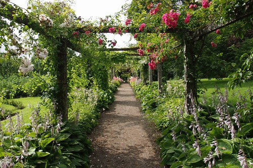 Rose trellis at Florence Court near Enniskillen, Northern Ireland