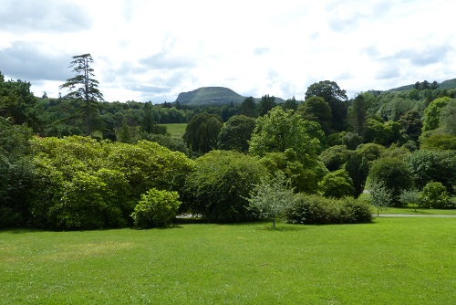 View from Florence Court summer house over trees to Benaughlin Mountain near Enniskillen, Northern Ireland